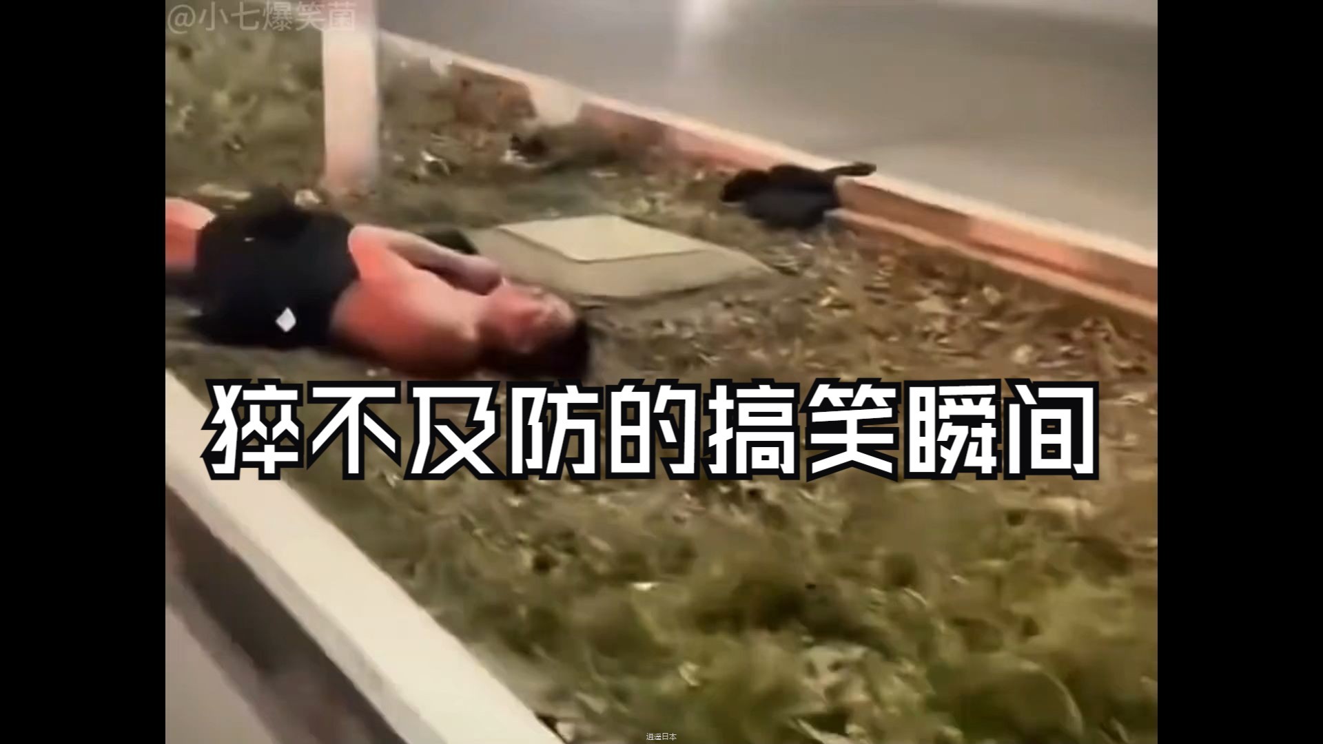 猝不及防的搞笑瞬间-1.jpg