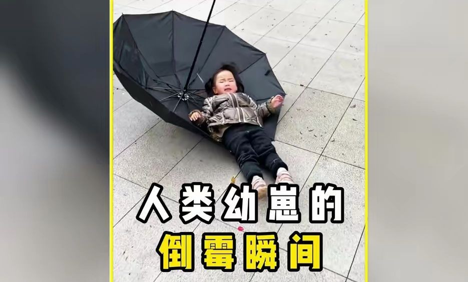 人类幼崽的倒霉瞬间，好心疼又好笑-1.jpg