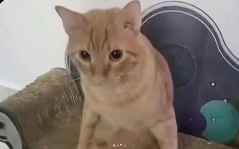 网络真实搞笑沙雕锦集-1.jpg