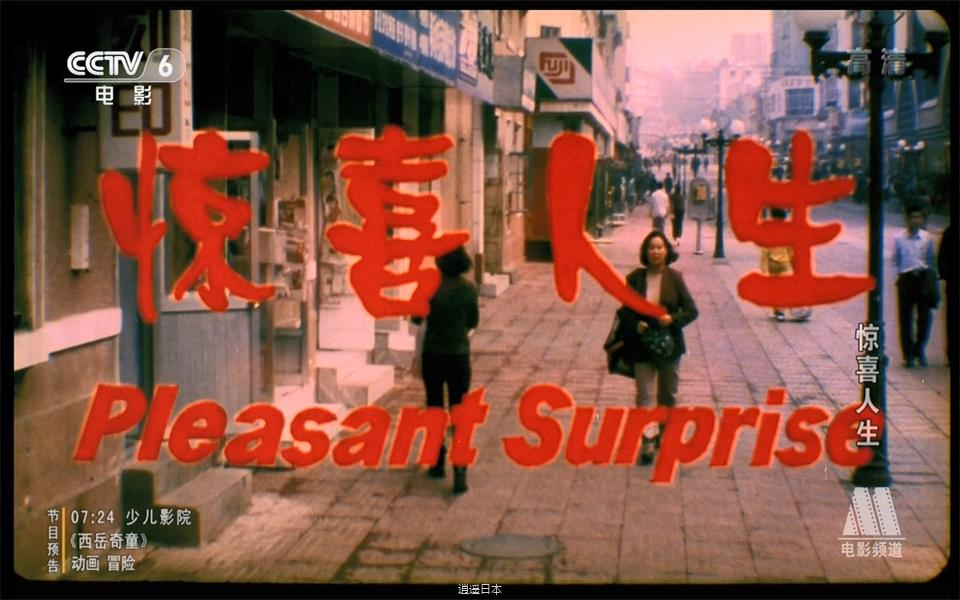 【剧情】惊喜人生 1999年【CCTV6高清720p】-1.png
