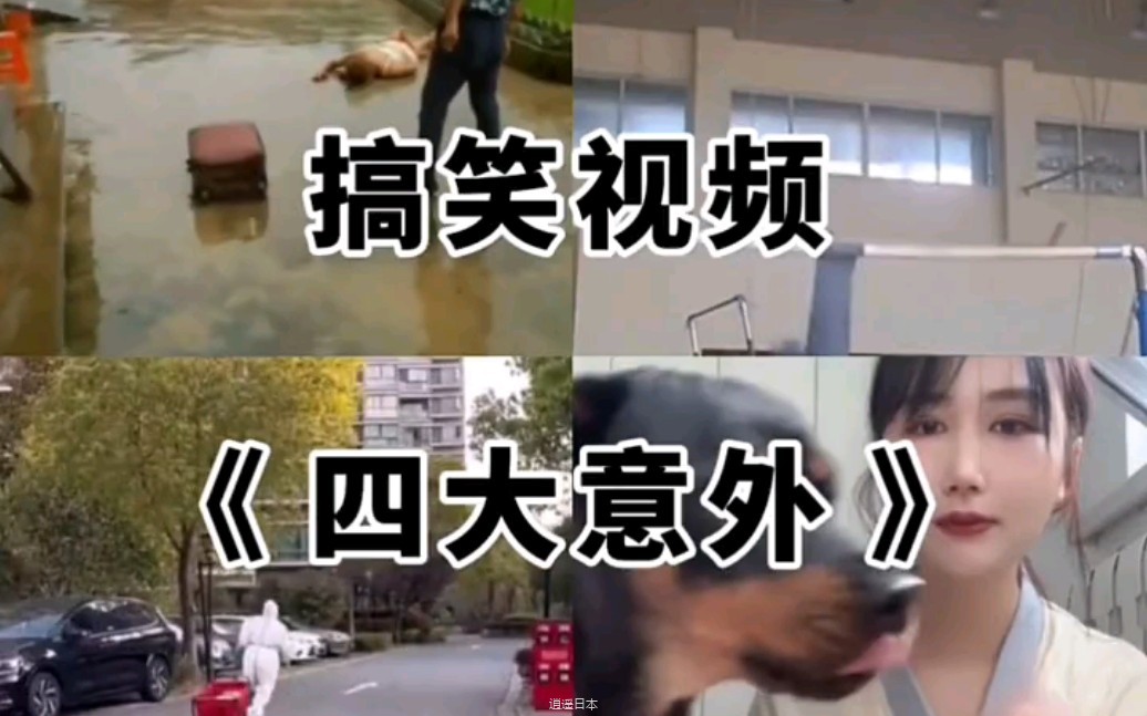 搞笑视频-1.jpg
