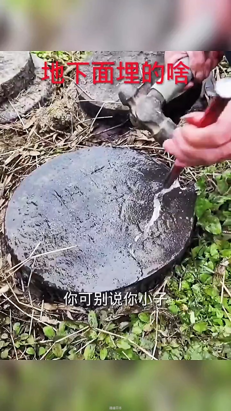 搞笑段子！搞笑配音！-1.jpg