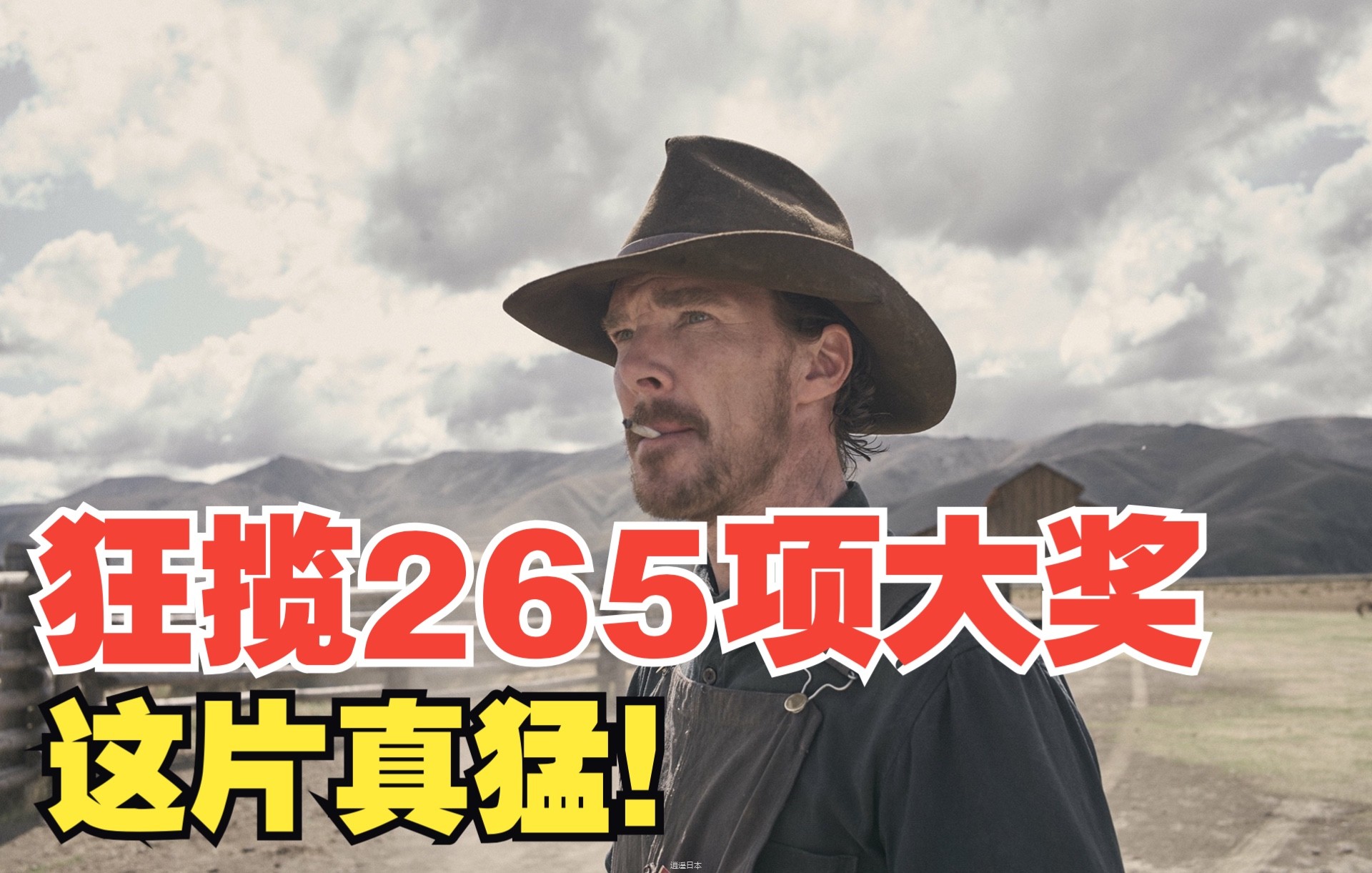 【何止】狂揽265项大奖，真猛！这片不可能在中国上映，赶紧看！《犬之力》-1.jpg