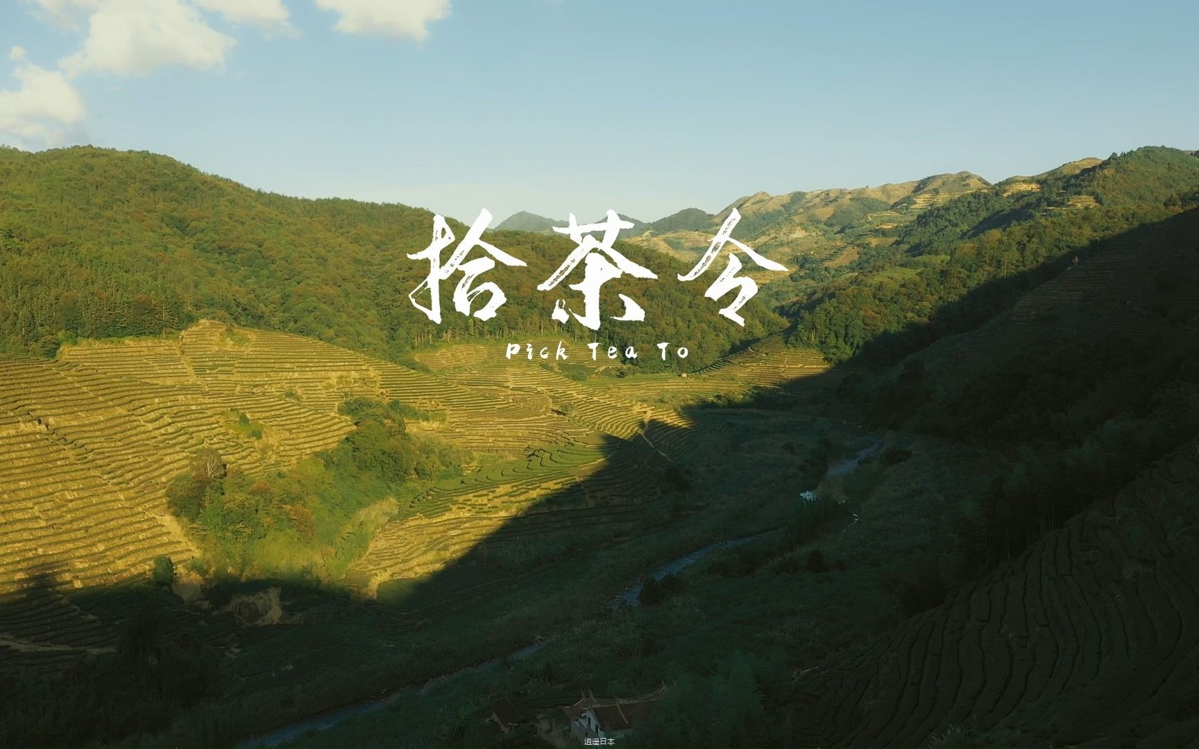 一份逆行的勇敢送给你们 《拾茶令》 电影完整版正式上线 ！-1.jpg