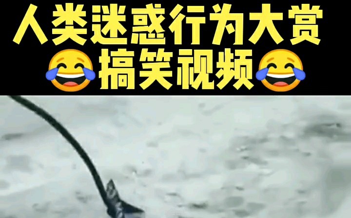 人类迷惑行为大赏，搞笑视频。-1.jpg
