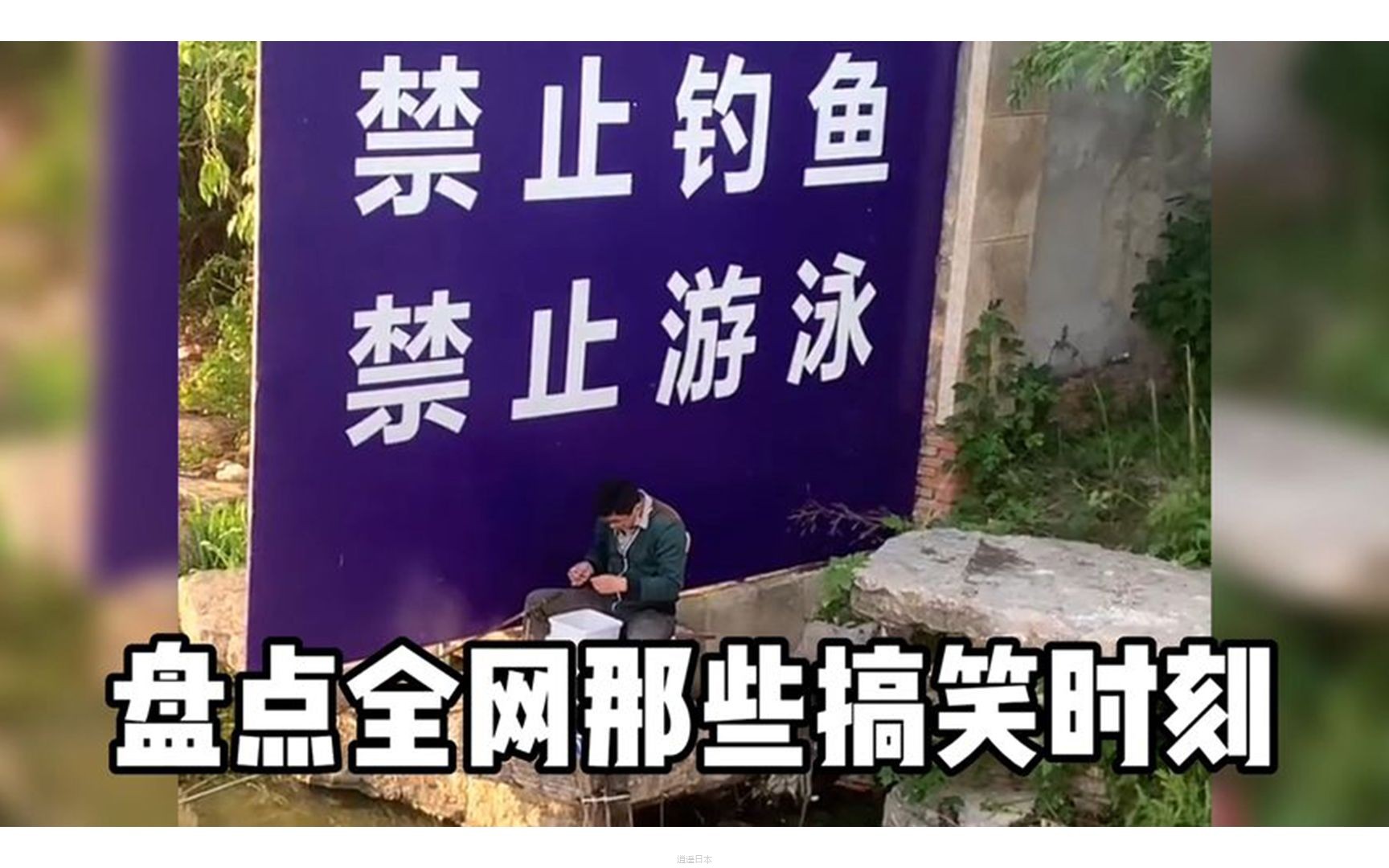 盘点全网那些搞笑时刻，最危险的地方就是最安全的地方 (1)-1.jpg