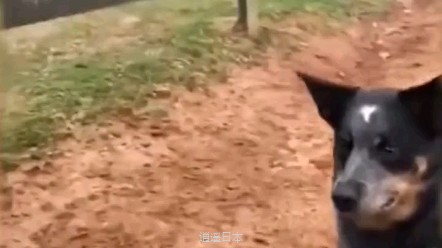 搞笑-1.jpg