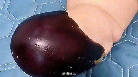 搞笑视频-1.jpg