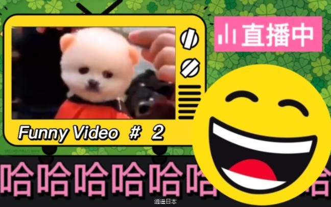 沙雕宠物的搞笑视频 解压爆笑时间#2-1.jpg