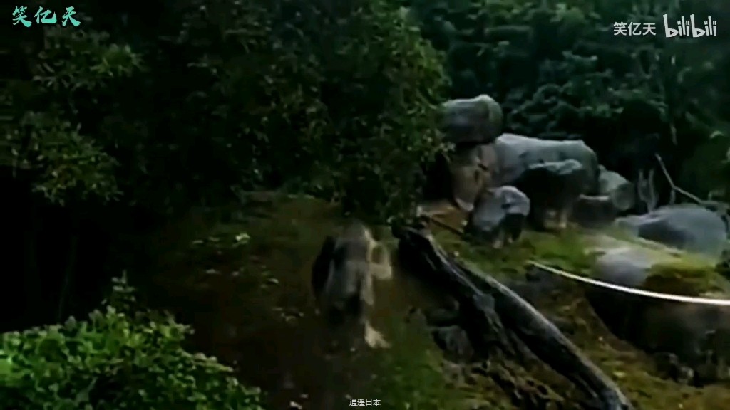 搞笑-1.jpg