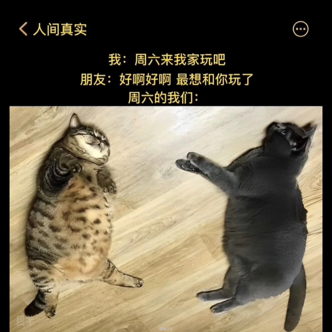 搞笑视频＃2-1.jpg