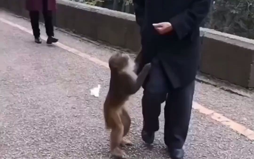 1搞笑视频 #搞笑配音 #看一遍笑一遍 #专治不开心-1.jpg