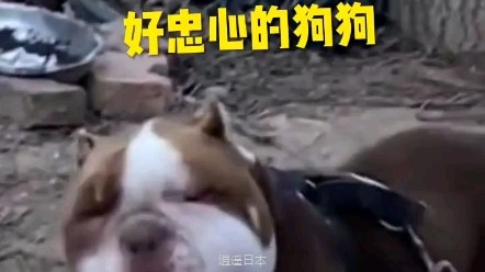 搞笑配音视频！笑一笑十年少 可有趣了！-1.jpg