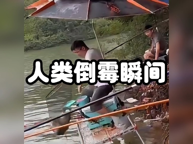 憨憨人类的倒霉瞬间-1.jpg